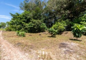 land-at-kohrong-Size_-2598m26-rdim5q72beqfz8uuy02olp2w0je7ldjxr2w0aim2zw