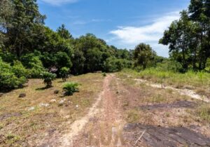 land-at-kohrong-Size_-2598m27-rdim60jael4liyfu9mjkv4gyjrz8y1ozgi2ckk6r3g