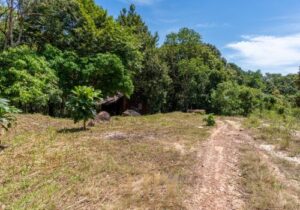 land-at-kohrong-Size_-2598m29-rdim6l7qkxwwmdlswvhddz93m95bndz2vcf14nc3ak