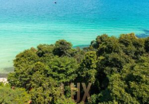Land-at-Kohrong_-10-ree6cbqxclb3w5jthvihdkgm45ox4t19o5amctx7sc