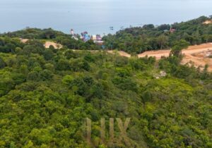 Land-at-Kohrong_-23-ree6crq6krwzdiwlwkf51yfg7pi5rnspecdvij9iuk