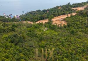 Land-at-Kohrong_-24-ree6cz8w3g79yeloono5lwj4ysh3h8mk3dlrcqydgs
